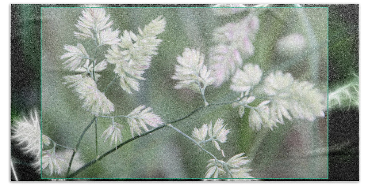 Weeds Beach Towel featuring the photograph Weeds by Ericamaxine Price