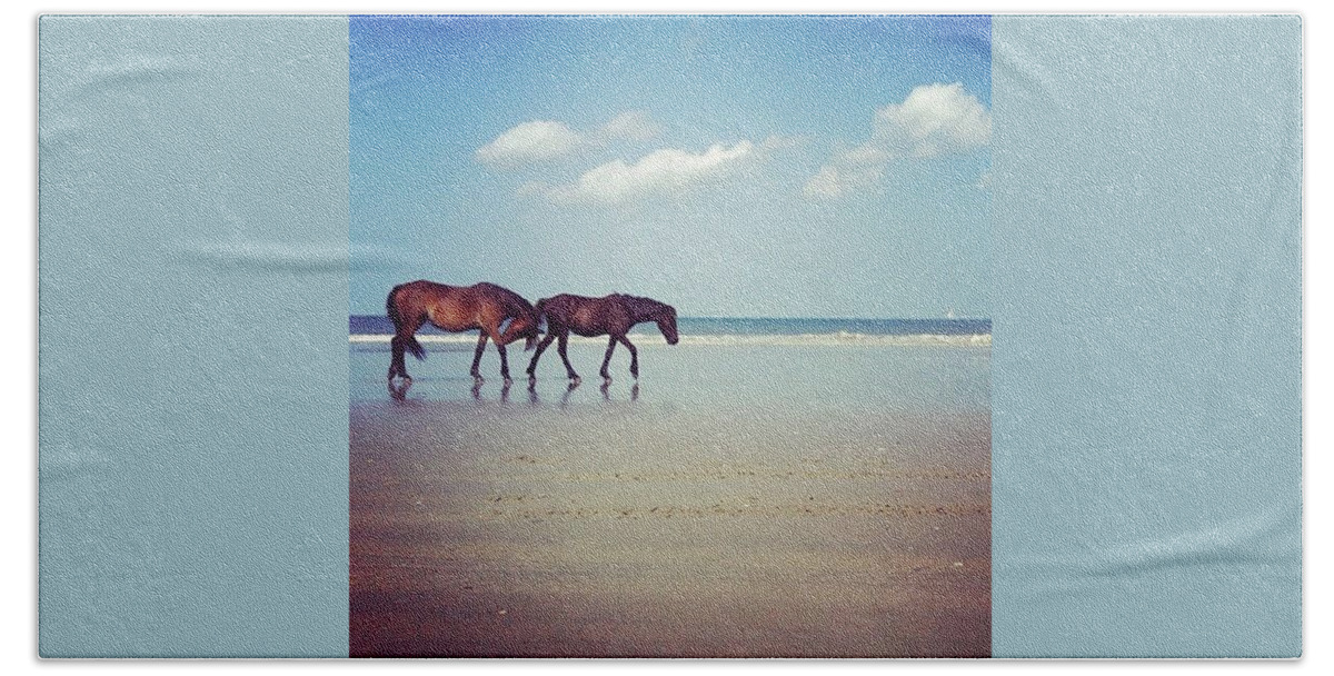 Wild Beach Towel featuring the photograph Well, This Just Happened. #wild #horses by Katie Cupcakes