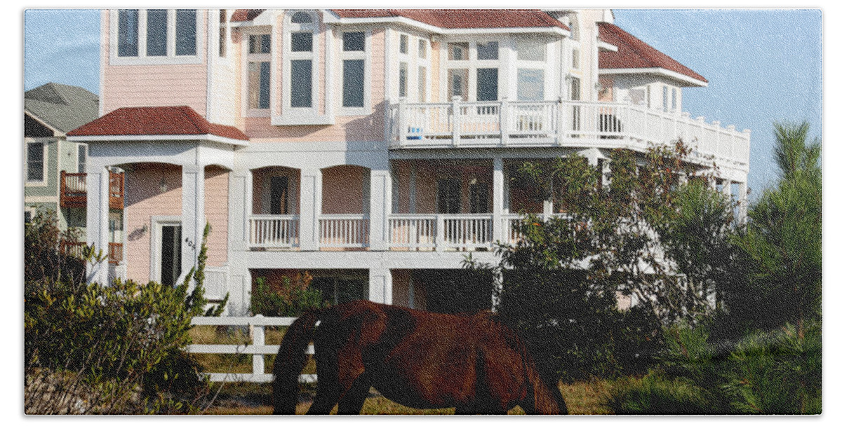 Wild Spanish Mustang Beach Towel featuring the photograph What a view to wake up too by Kim Galluzzo