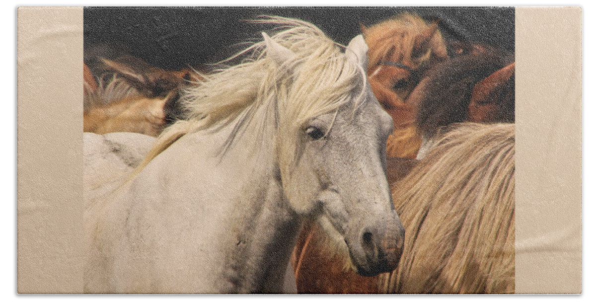 Horse Beach Towel featuring the photograph White Icelandic Horse by Tom and Pat Cory