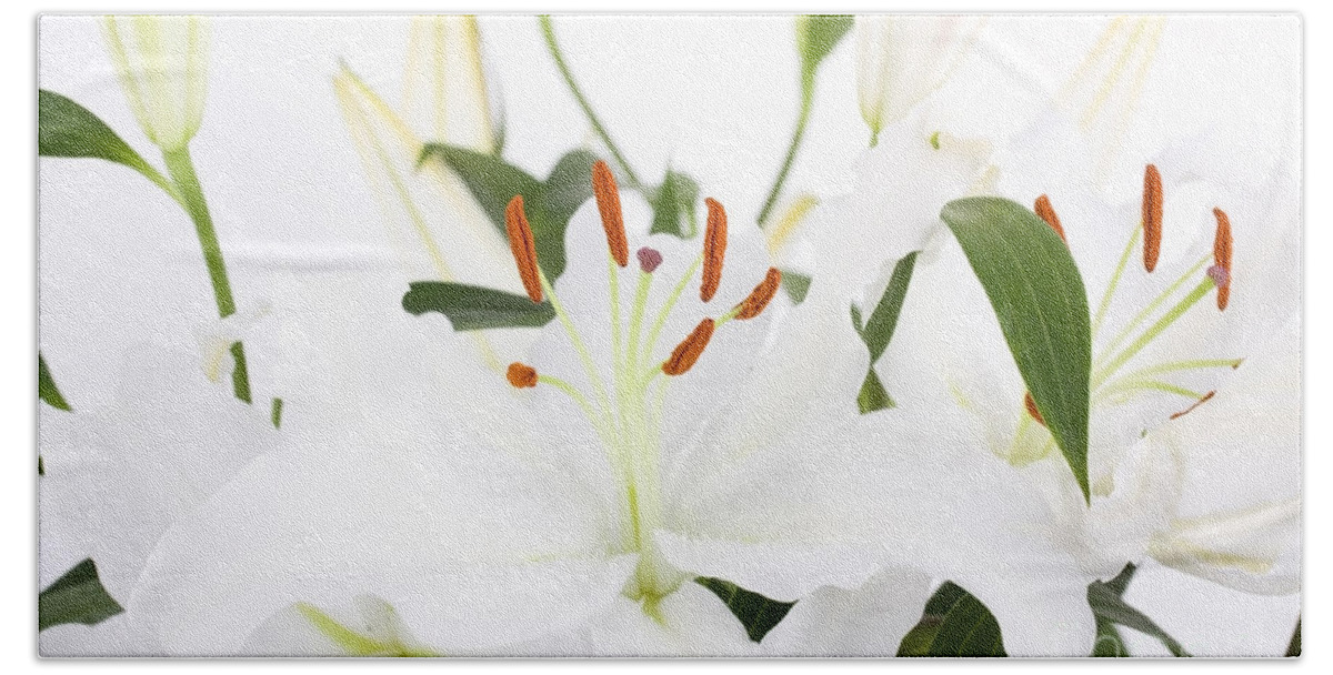 Lily Beach Towel featuring the photograph White lilies and background by Simon Bratt