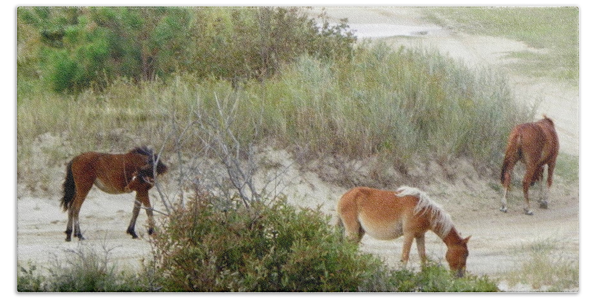 Wild Beach Towel featuring the photograph Wild Spanish Mustangs of the Outer Banks of North Carolina by Kim Galluzzo Wozniak