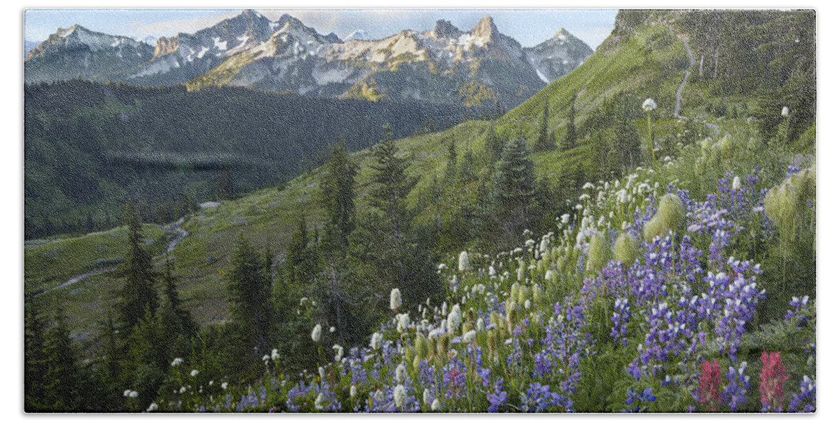 00437811 Beach Towel featuring the photograph Wildflowers And Tatoosh Range Mount by Tim Fitzharris