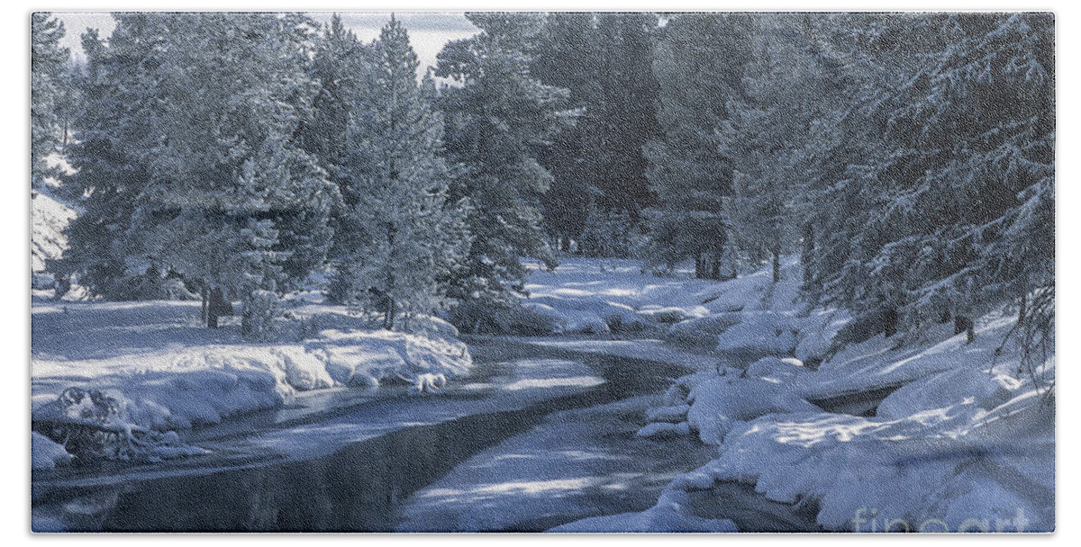 Winter Beach Towel featuring the photograph Winter's Splendor by Sandra Bronstein