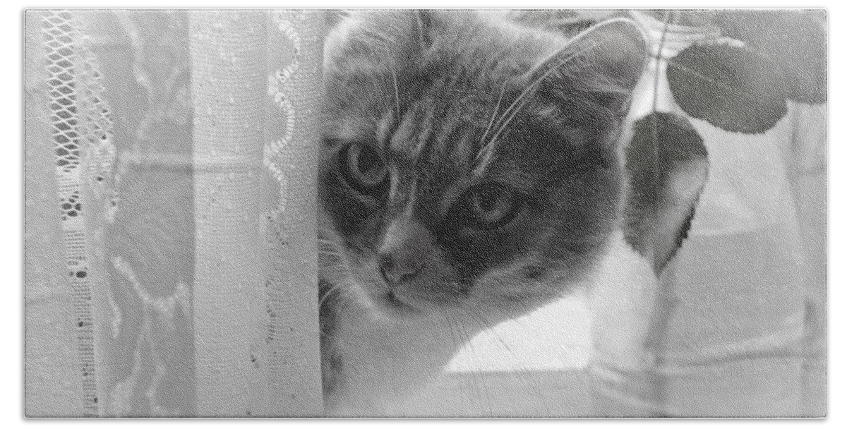 Cat Beach Towel featuring the photograph Wondering. Kitty Time by Jenny Rainbow