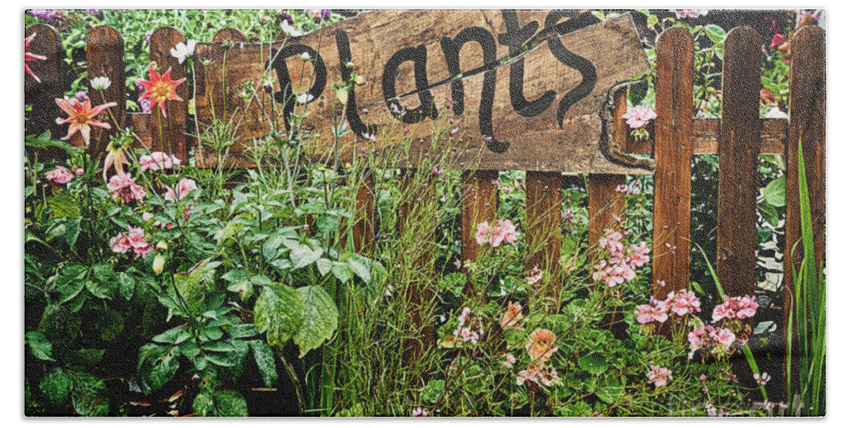 Plants Beach Towel featuring the photograph Wooden plant sign in flowers by Simon Bratt