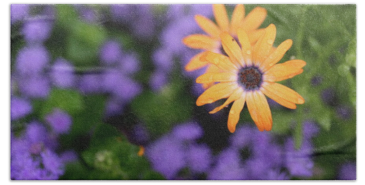 Flowers Beach Towel featuring the photograph Yellow and Purple by Rick Berk