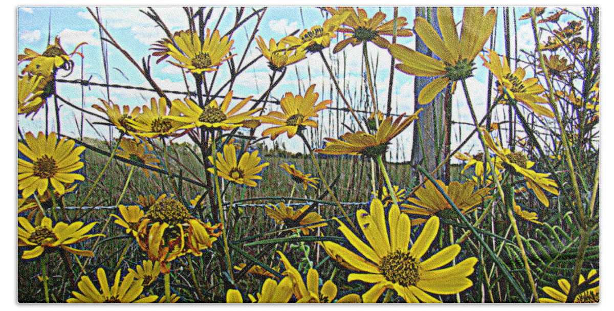 Yellow Flowers Roadside Pretty Beach Sheet featuring the photograph Yellow Flowers By The Roadside by Alice Gipson