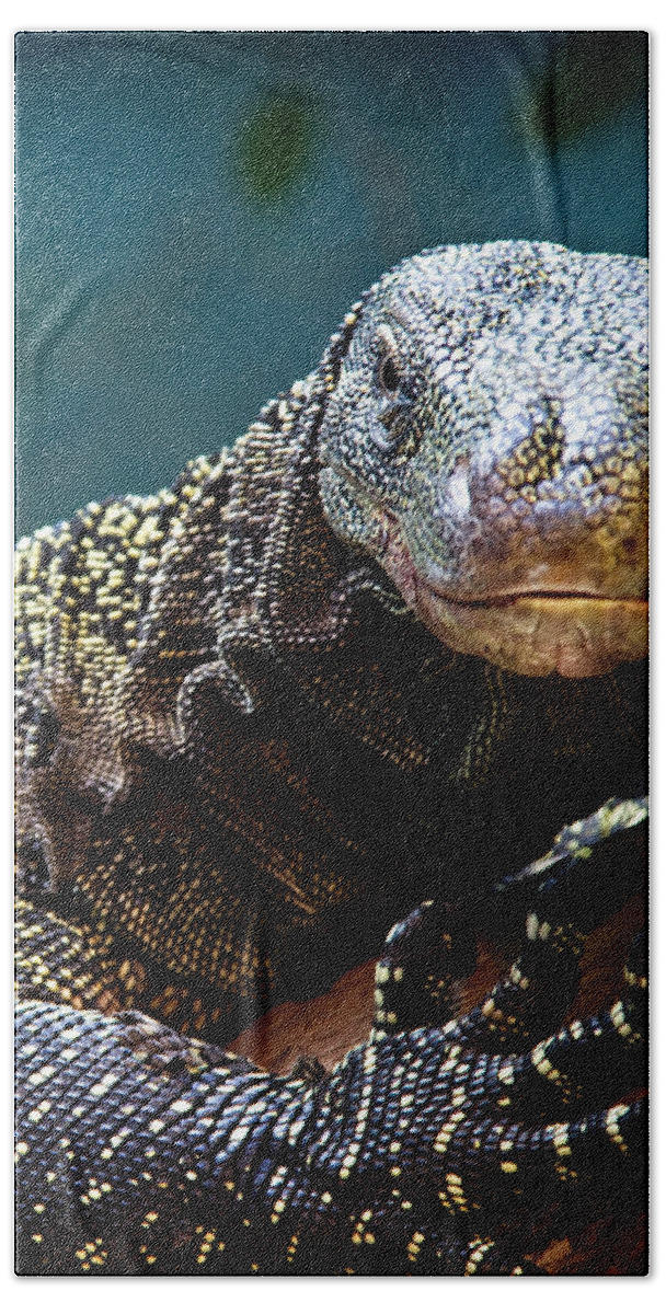 Reptile Beach Towel featuring the photograph A Crocodile Monitor Portrait by Lana Trussell