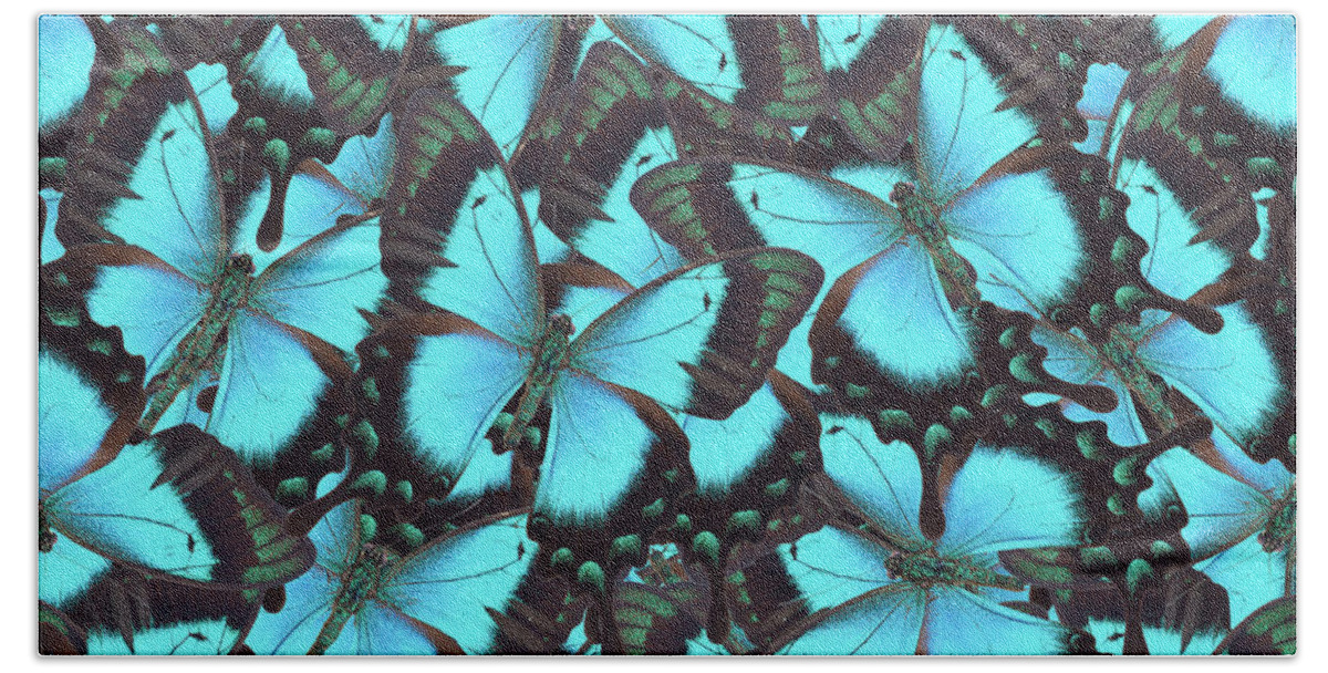 Butterfly Beach Sheet featuring the photograph Green Swallowtail Butterfly by Anastasy Yarmolovich