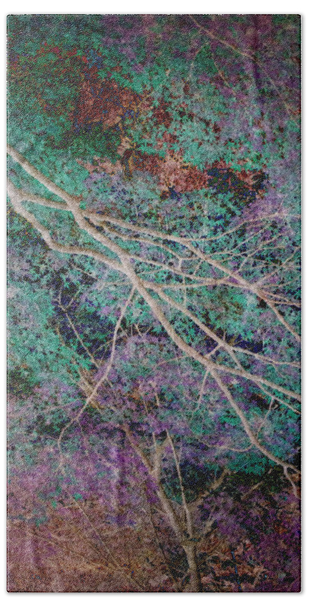 Forest Beach Towel featuring the photograph A Forest of Magic #1 by Eena Bo