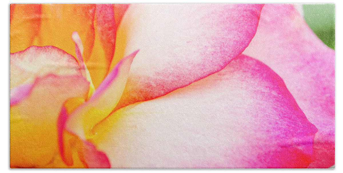 Valentine Beach Towel featuring the photograph Abstract Rose Petals #1 by Teri Virbickis