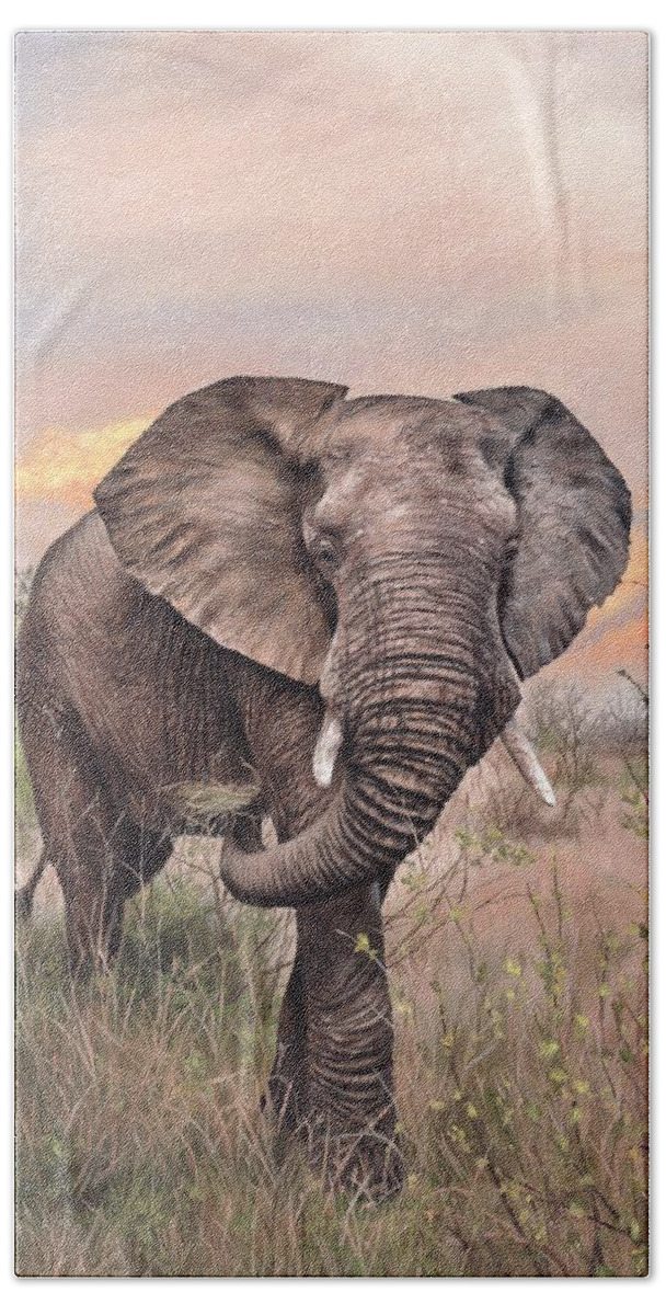 Elephant Beach Towel featuring the painting African Elephant Painting #1 by Rachel Stribbling