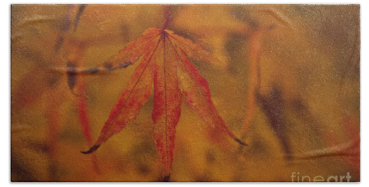 Pacific Northwest Beach Towel featuring the photograph Autumn Colors #1 by Jim Corwin