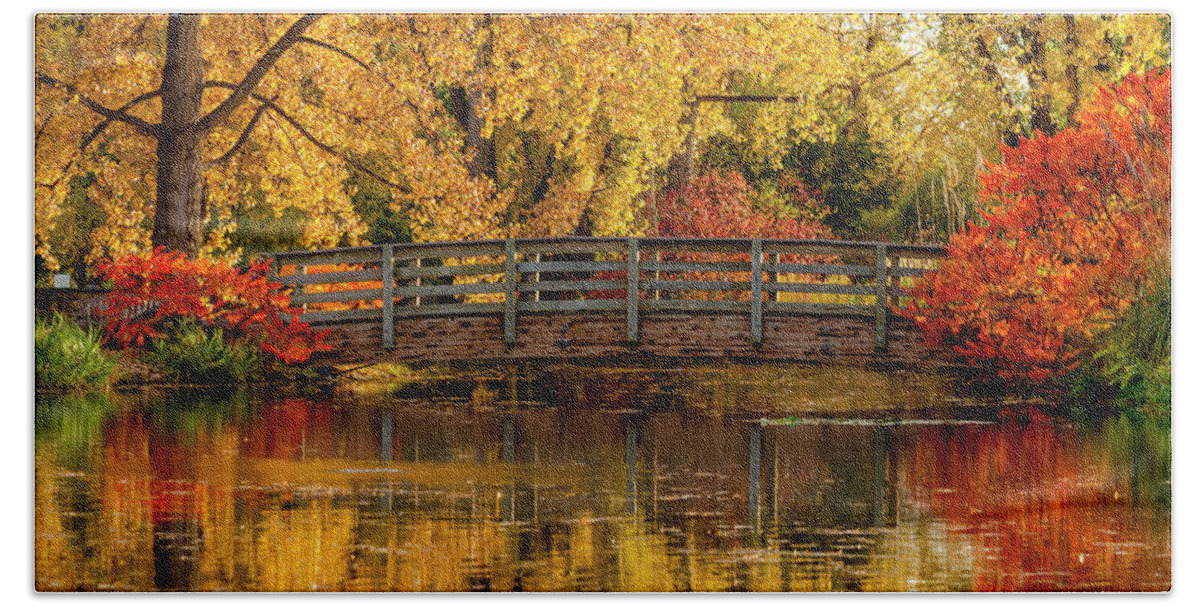 Hudson Gardens Beach Towel featuring the photograph Autumn in the Park #1 by Teri Virbickis