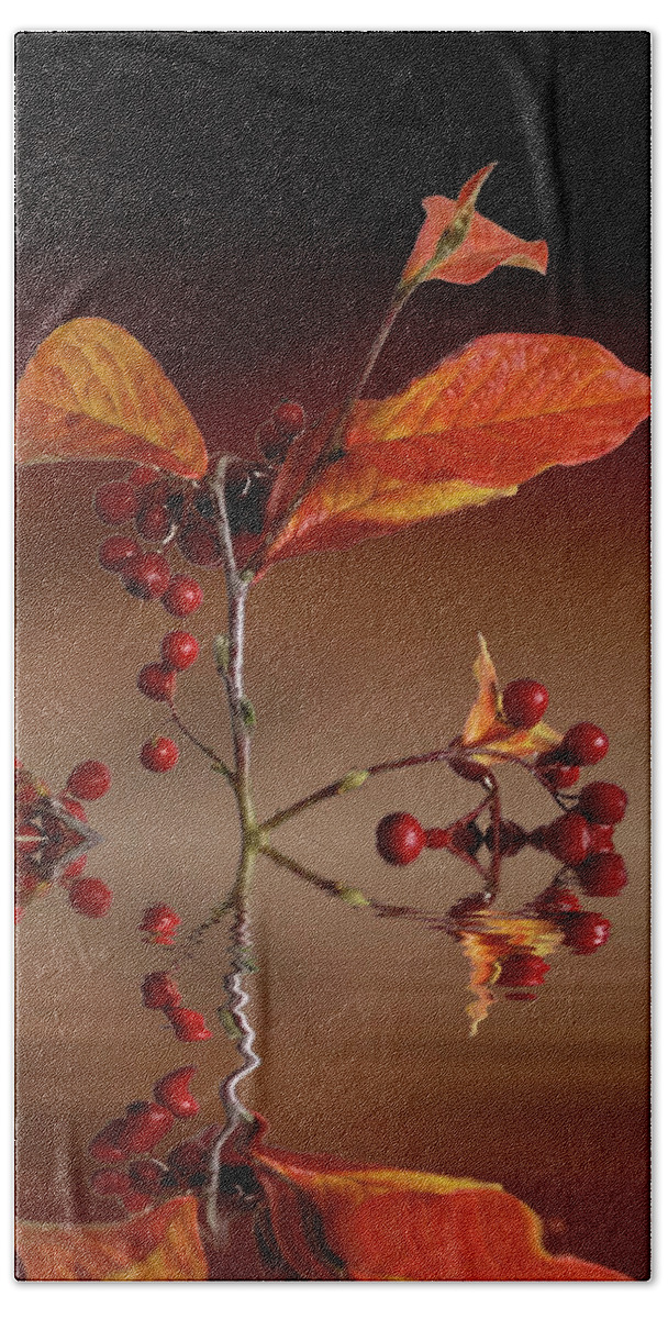 Leafs Beach Towel featuring the photograph Autumn leafs and red berries #1 by David French