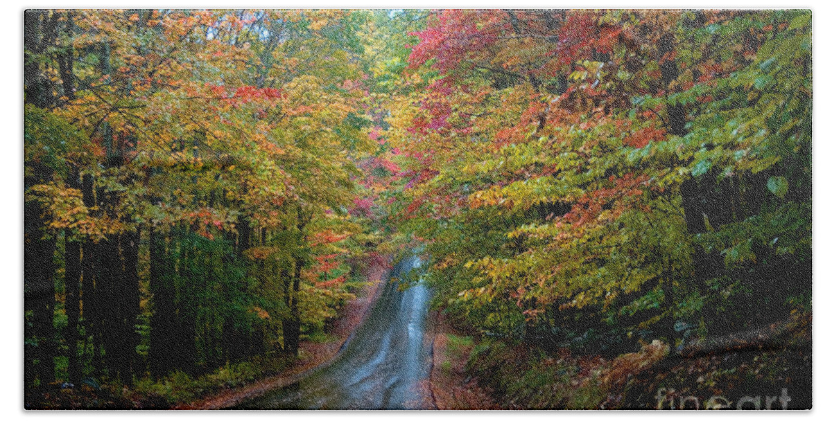 Road Beach Towel featuring the photograph Autumn Road #1 by Larry Landolfi