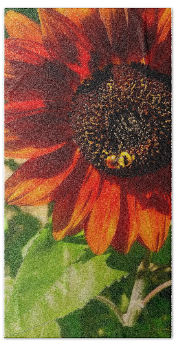 Sunflower Beach Towel featuring the photograph Autumn Sunflower and Bumble Bee by Amanda Smith