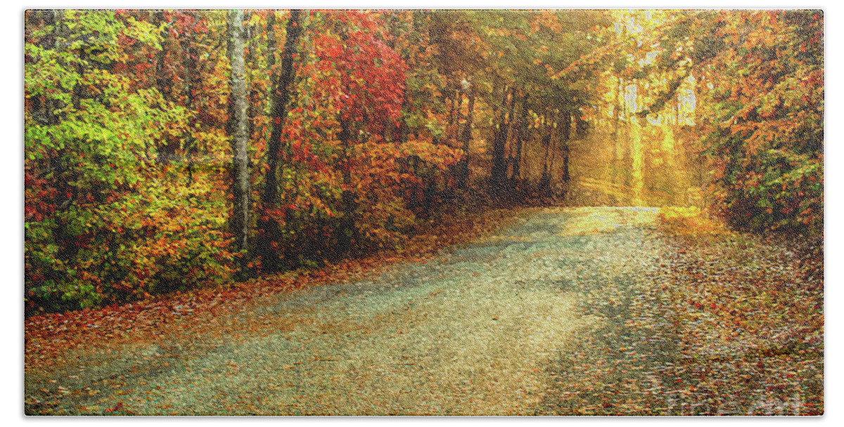 Autumn Path Beach Sheet featuring the photograph Autumns Path #1 by Darren Fisher