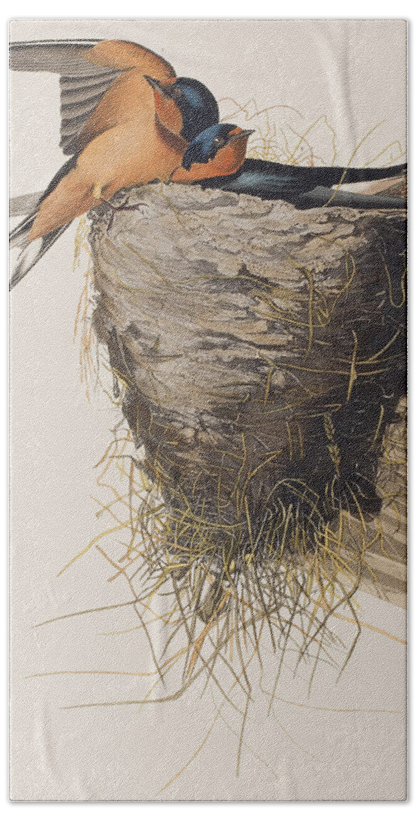 Barn Swallow Beach Towel featuring the painting Barn Swallow by John James Audubon
