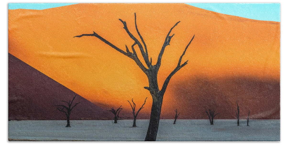 Deadvlei Beach Towel featuring the photograph Beauty lives forever. #2 by Usha Peddamatham