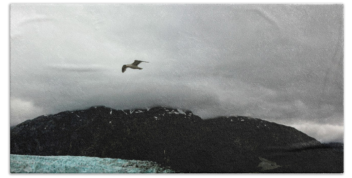 Alaska Beach Towel featuring the photograph Bird Over Glacier - Alaska #2 by Madeline Ellis