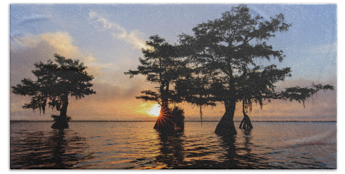 Blue Cypress Lake Beach Towel featuring the photograph Blue Cypress Lake Morning #1 by Stefan Mazzola