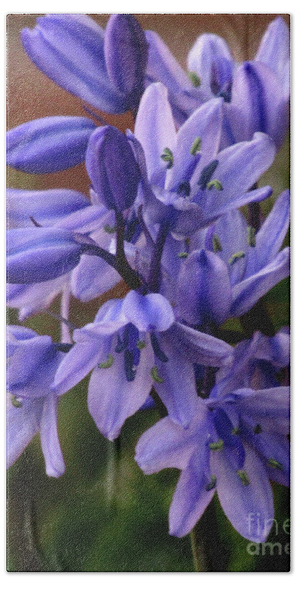 Bluebells Beach Towel featuring the photograph Bluebell Blooms 9 by Kim Tran