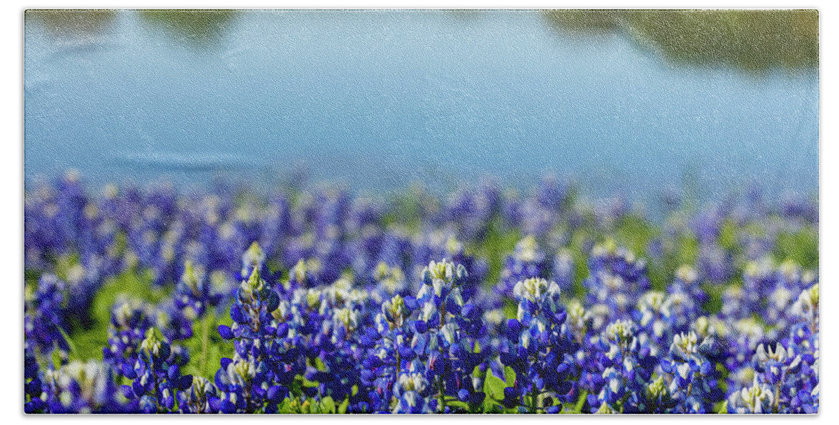 Austin Beach Towel featuring the photograph Bluebonnets #1 by Raul Rodriguez