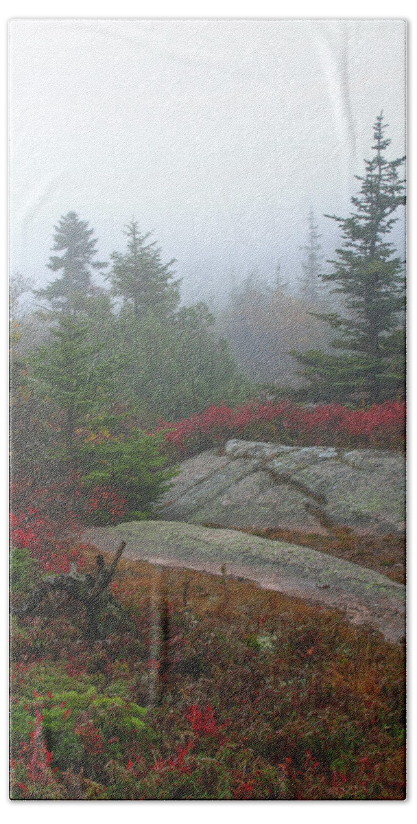 Acadia Np Beach Towel featuring the photograph Cadillac Mountain #1 by Juergen Roth