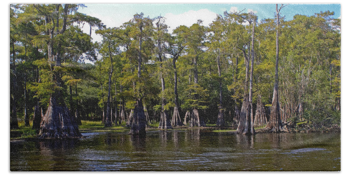 Cypress Beach Towel featuring the photograph Cypress on the Suwannee by Farol Tomson