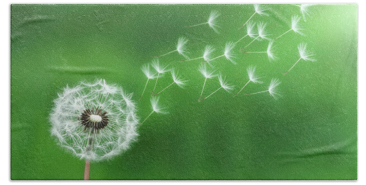 Abstract Beach Towel featuring the photograph Dandelion seeds #1 by Bess Hamiti