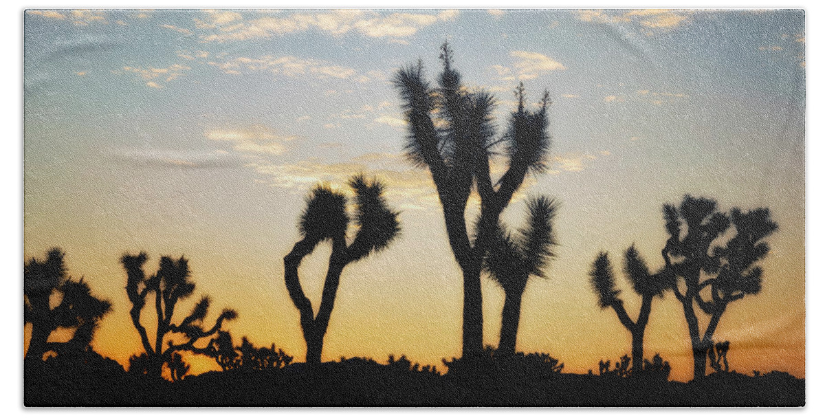 Coachella Valley Beach Towel featuring the photograph Day Break #1 by Nicki Frates