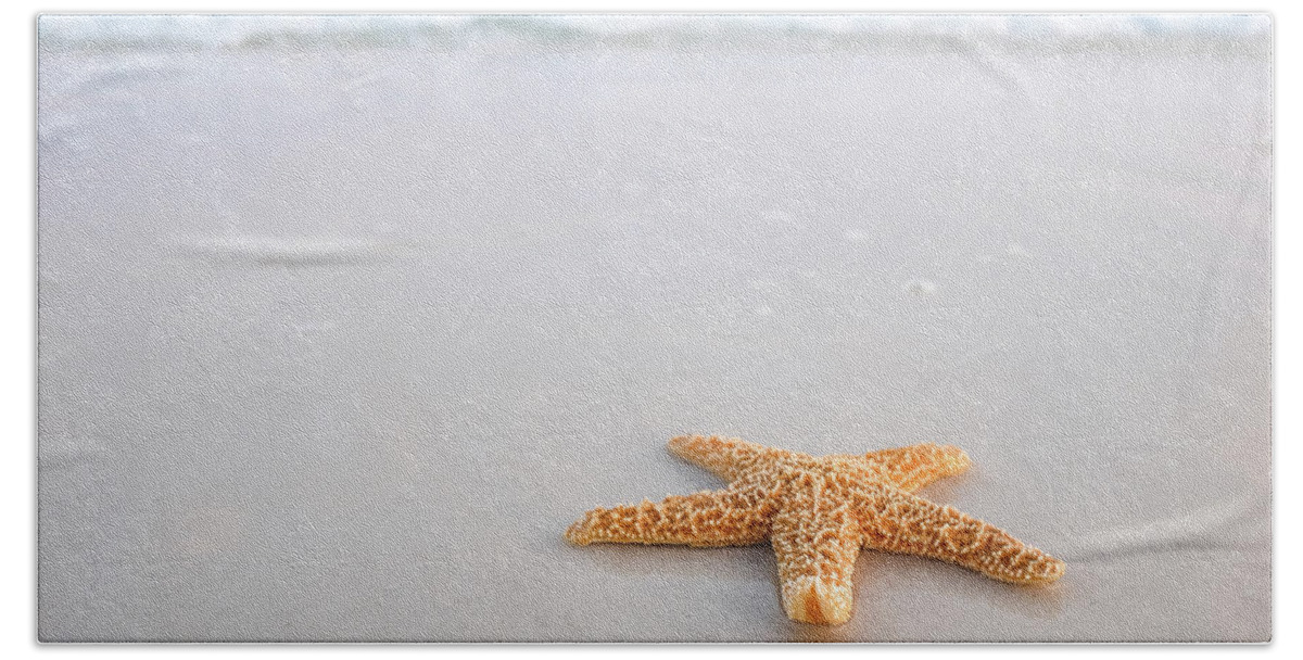 Destin Beach Towel featuring the photograph Destin Florida Miramar Beach Starfish #1 by Robert Bellomy