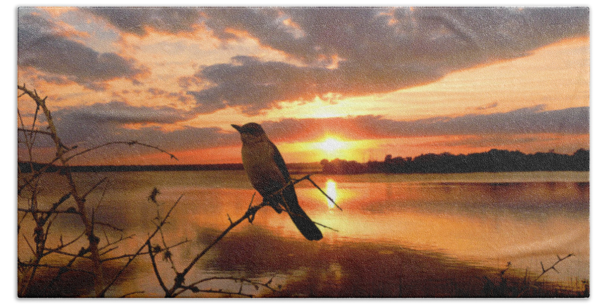 Sunset Beach Towel featuring the photograph Enjoying the Sunset by Michele A Loftus