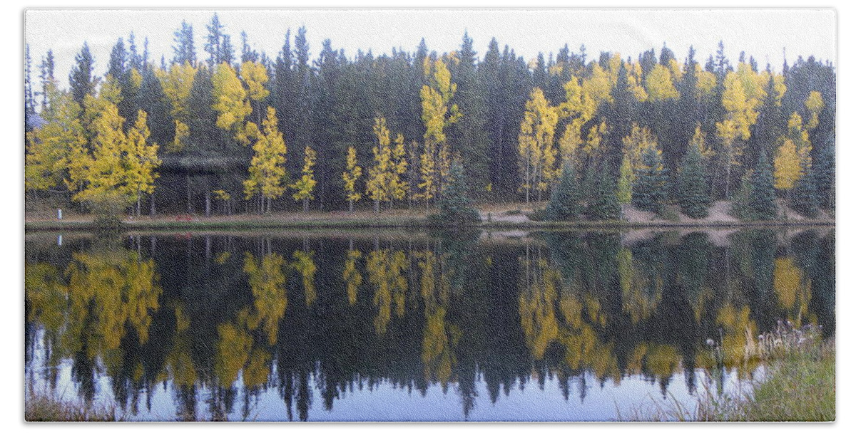 Fall Beach Sheet featuring the photograph Potty Pond Reflection - Fall Colors Divide CO by Margarethe Binkley