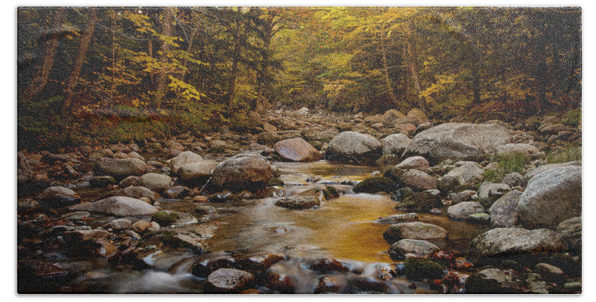 Fall Beach Sheet featuring the photograph Fall on the Gale River #1 by Benjamin Dahl