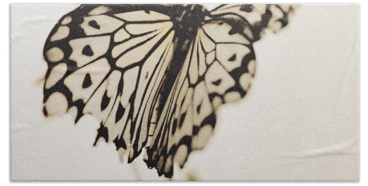 Butterflies Beach Sheet featuring the photograph Flying Free #1 by The Art Of Marilyn Ridoutt-Greene