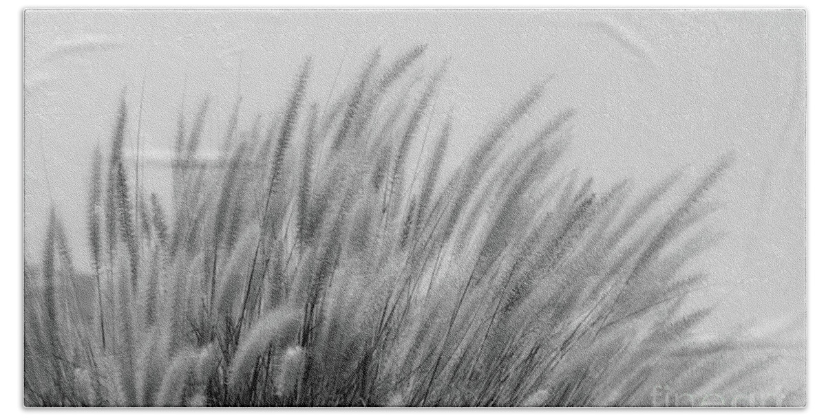 Black And White Beach Sheet featuring the photograph Foxtails on a Hill in Black and White by Leah McPhail