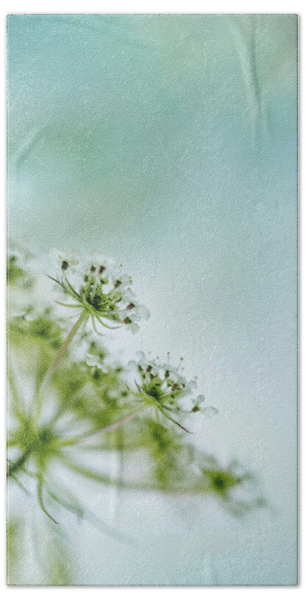Umbel Beach Towel featuring the photograph Fragile by Nailia Schwarz