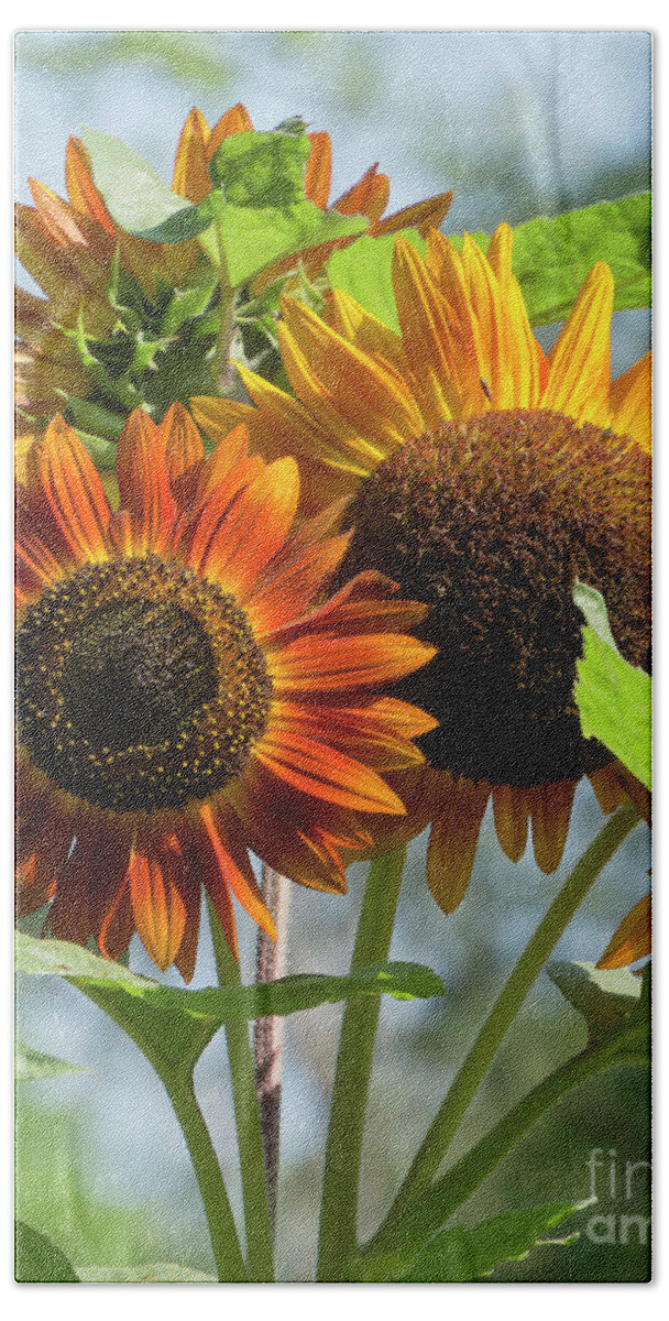 Flowers Beach Sheet featuring the photograph Glory #1 by Lili Feinstein