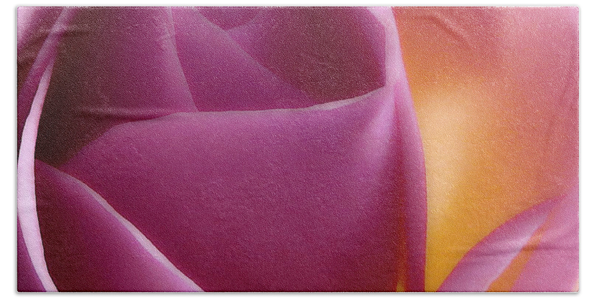 Rose Beach Towel featuring the photograph Glowing Pink Rose by Johanna Hurmerinta