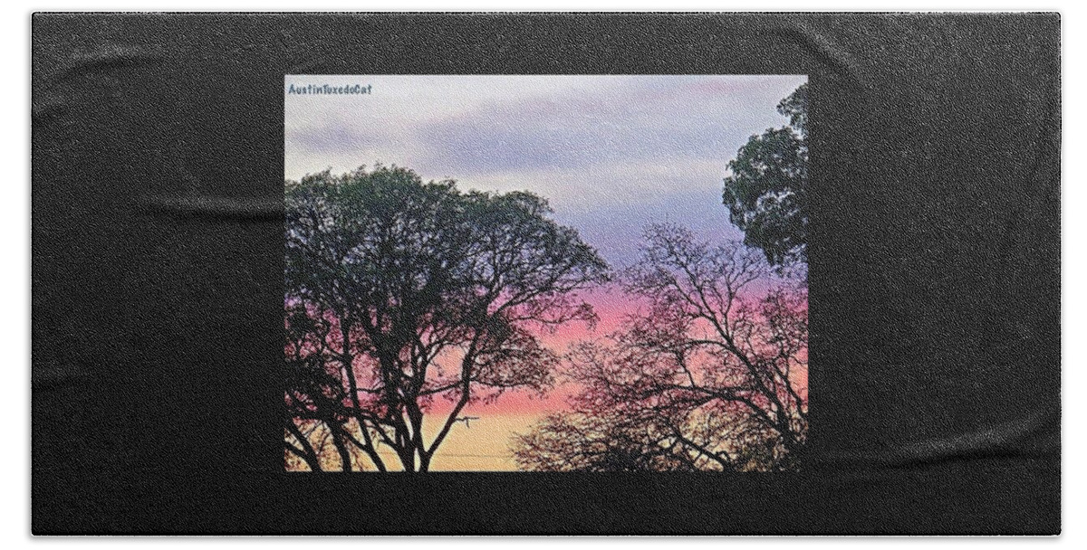 Sunrise_and_sunsets Beach Towel featuring the photograph #goodnight And May Your #dreams Be #1 by Austin Tuxedo Cat