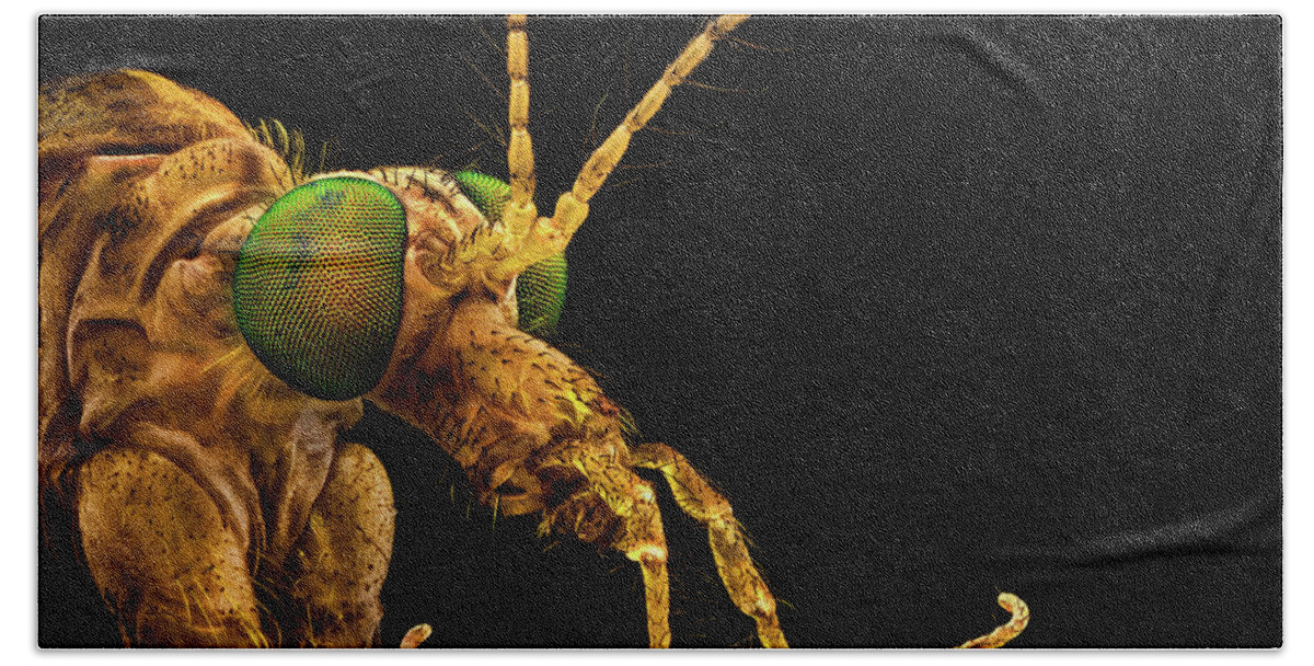 Alien Beach Sheet featuring the photograph Green eyed crane fly #1 by Mihai Andritoiu