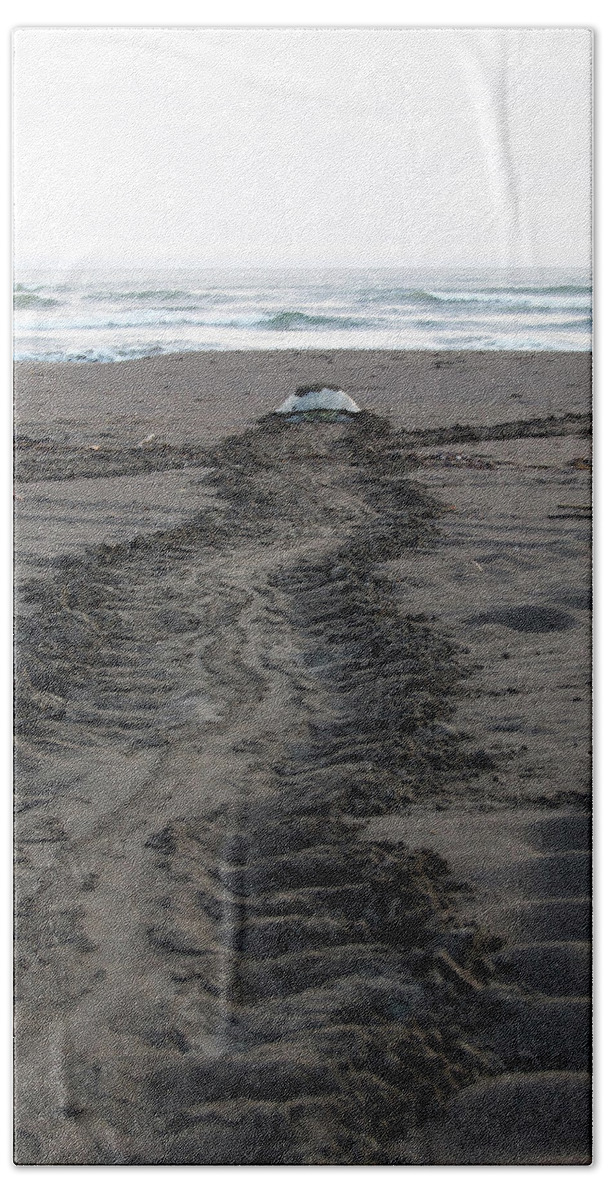 Green Sea Turtle Beach Sheet featuring the photograph Green Sea Turtle returning to sea #1 by Breck Bartholomew