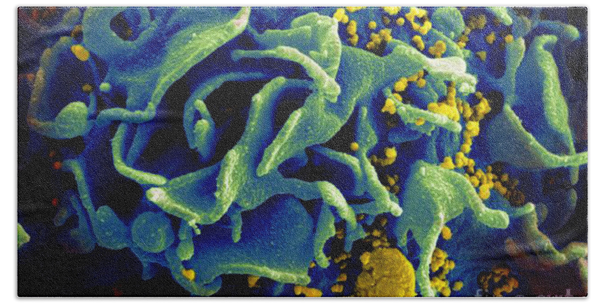 Microbiology Beach Towel featuring the photograph Hiv-infected T Cell, Sem by Science Source