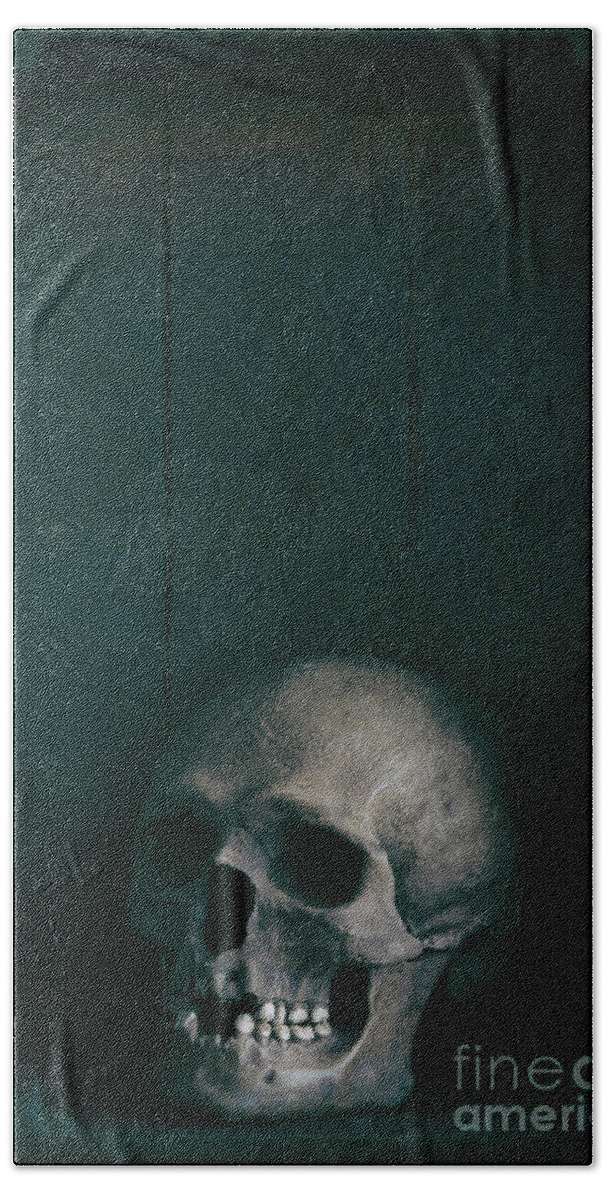 Skull Beach Towel featuring the photograph Human Skull #1 by Lee Avison