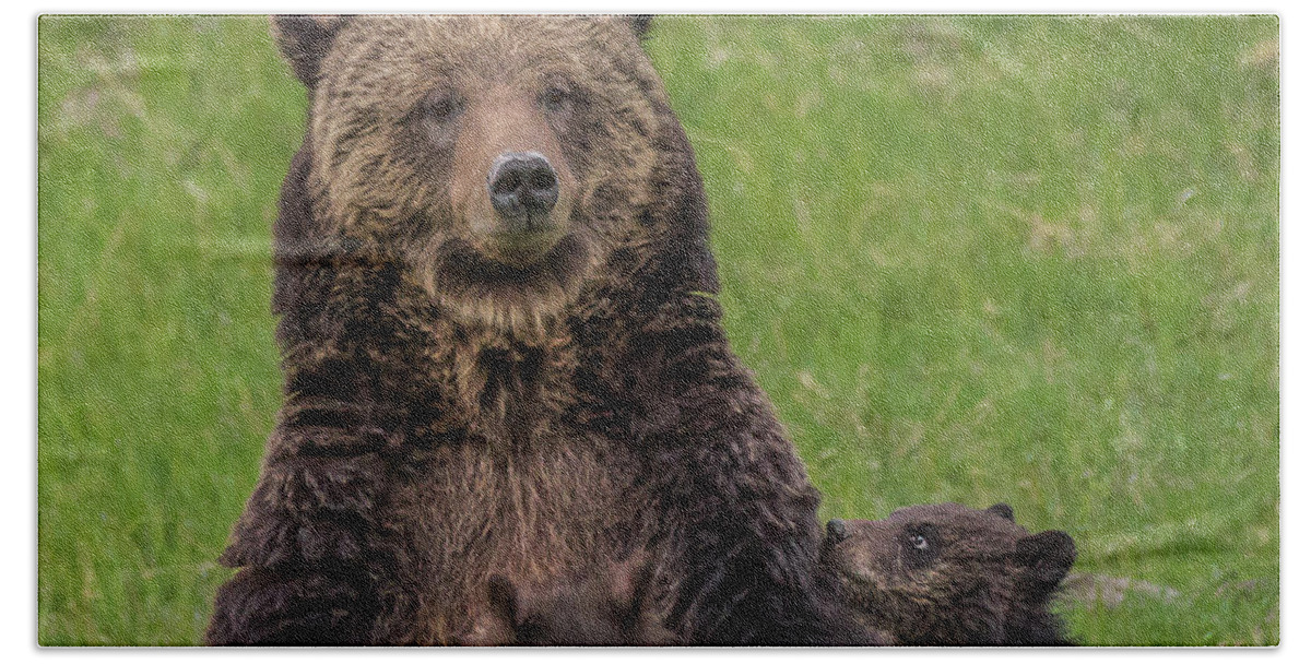Grizzlies Beach Sheet featuring the photograph I Love My Mom #1 by Yeates Photography