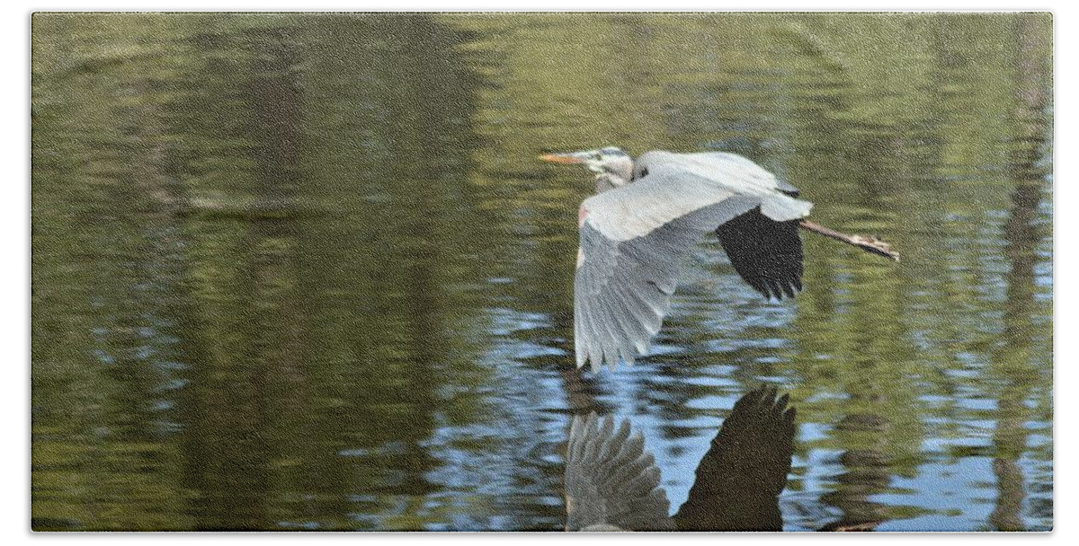 In Flight Beach Towel featuring the photograph In Flight #2 by Warren Thompson