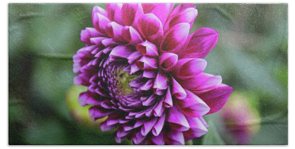 Dahlia Beach Towel featuring the photograph Layers Deep #1 by Michiale Schneider